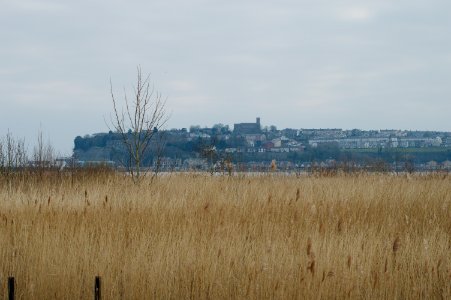 DSC 3503