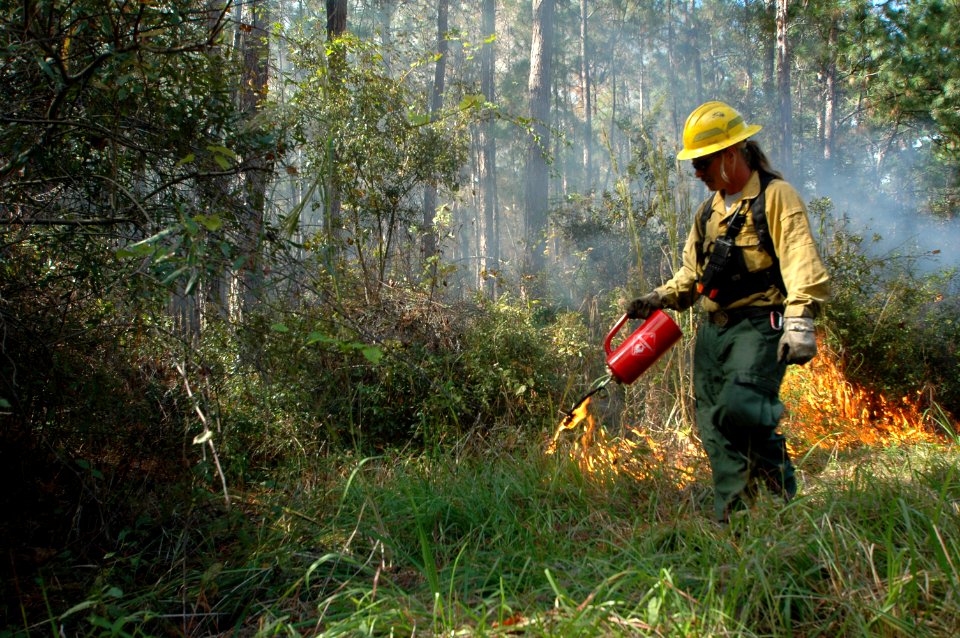20111106-FS-Osceola-SB-028