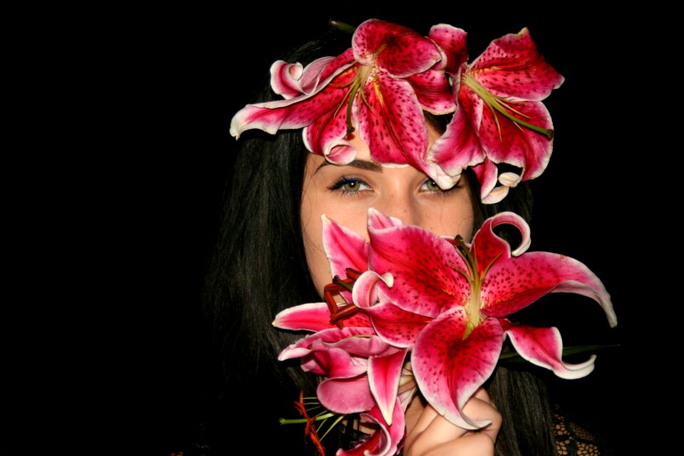 Lily flower beauty