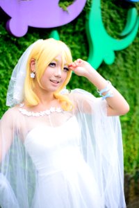 DSC 7261