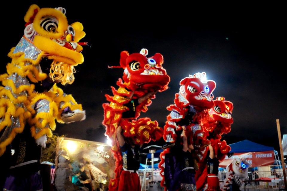 Tet in SD (7 of 20)