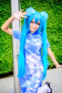 DSC 7427