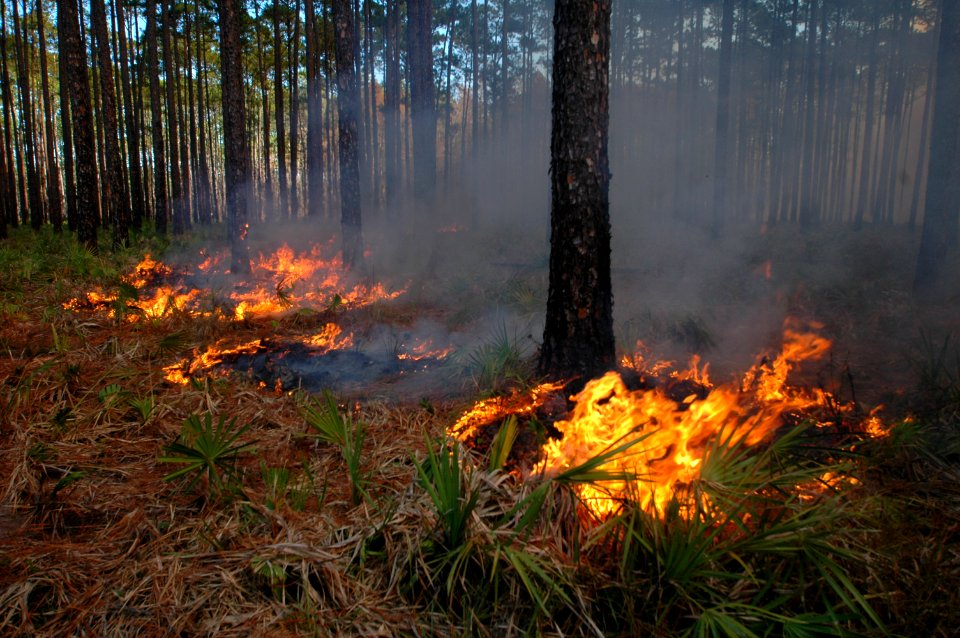 20111106-FS-Osceola-SB-019