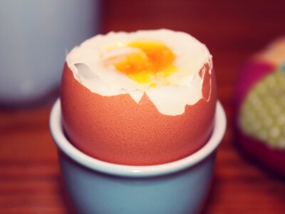 Egg cups delicious eat photo