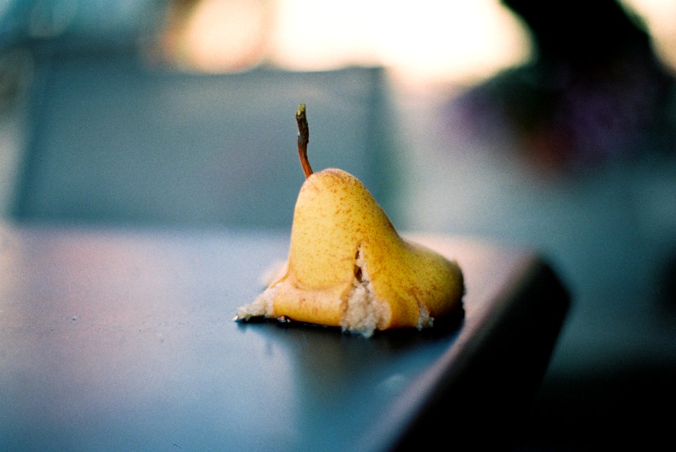 Windfall Pear / Fallobst Birne