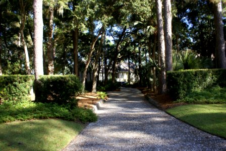20201116 driveway