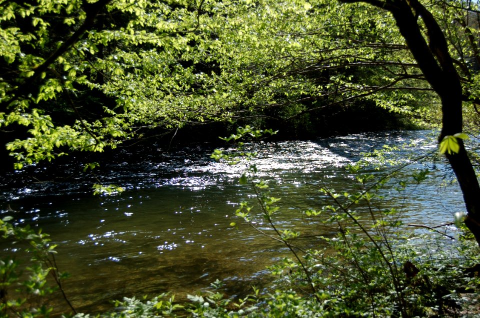 20150421-FS-Cherokee-061
