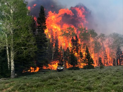 Prescribed burn at Manning Creek