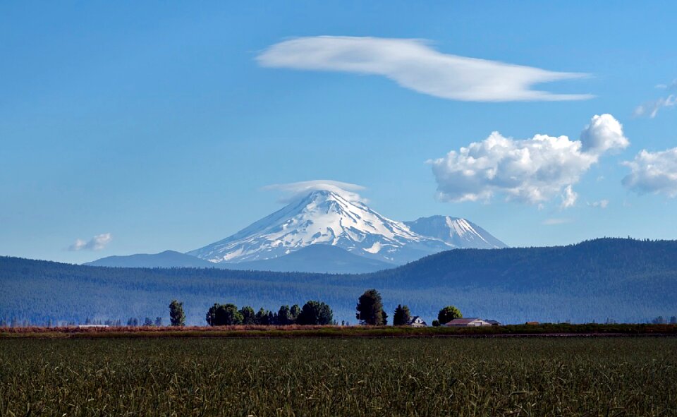 Volcano landscape forest