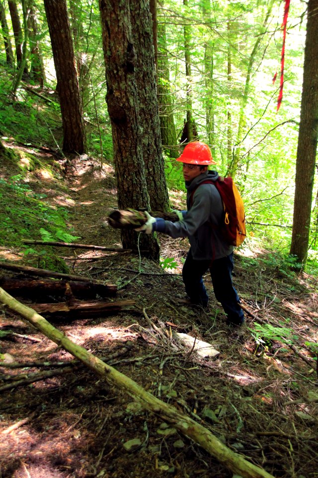 Restoration of trails at French's Dome