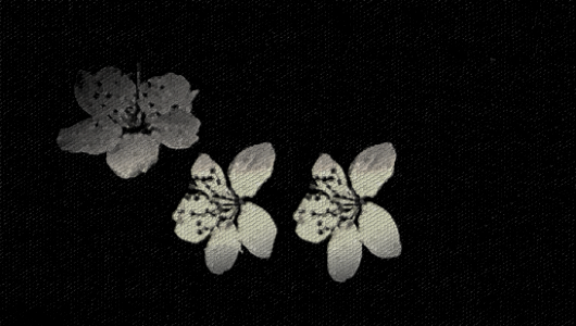 background, wallpaper, hintergrundbild (free)