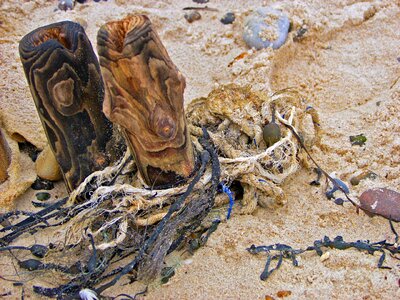 Beach sea landscape