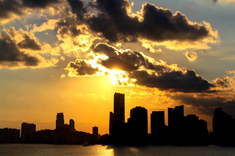 Miami Skyline