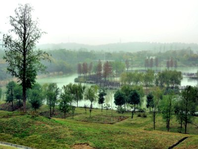 Nanjing, Guli Lavender Manor (IMG 0482p) photo