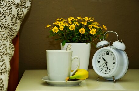 Recovery ill alarm clock