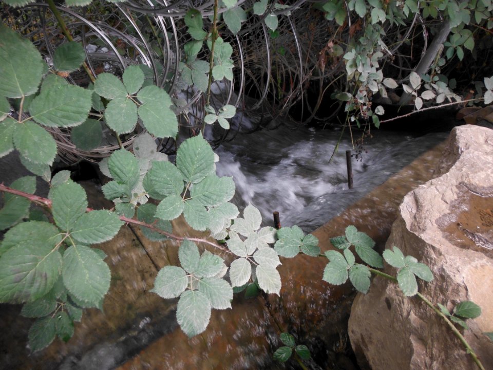 Knife River filtered discharge to Fairview Creek