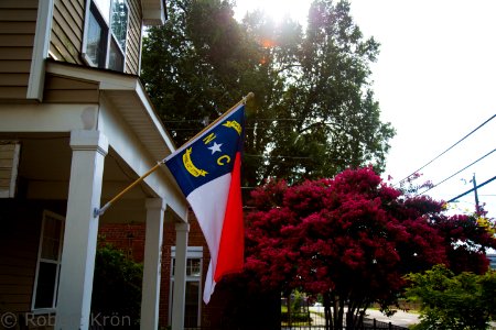 Raleigh-30
