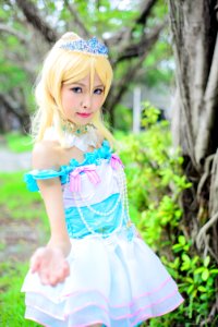 DSC 7291