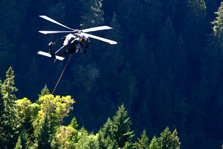 blackhawk 307 3