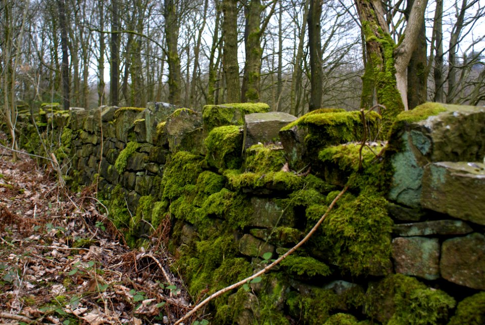 Brinscall, Lancashire