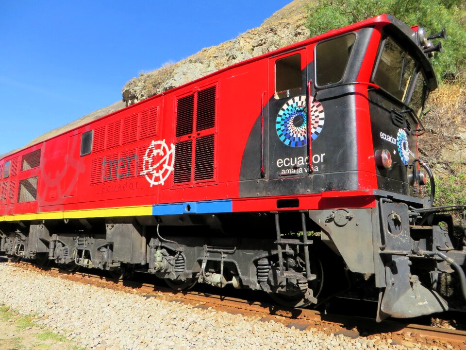 Alausi devil's nose shunter