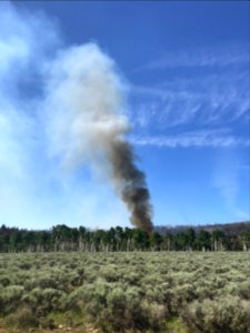 Prescribed burn at Manning Creek photo