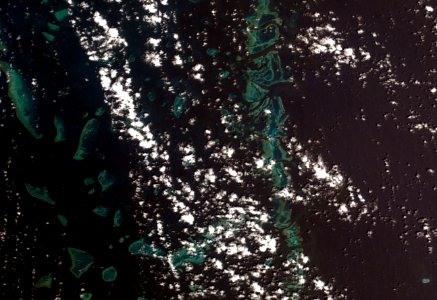 Great Barrier Reef from space. (See info for description) photo