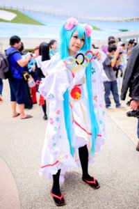 DSC 7395