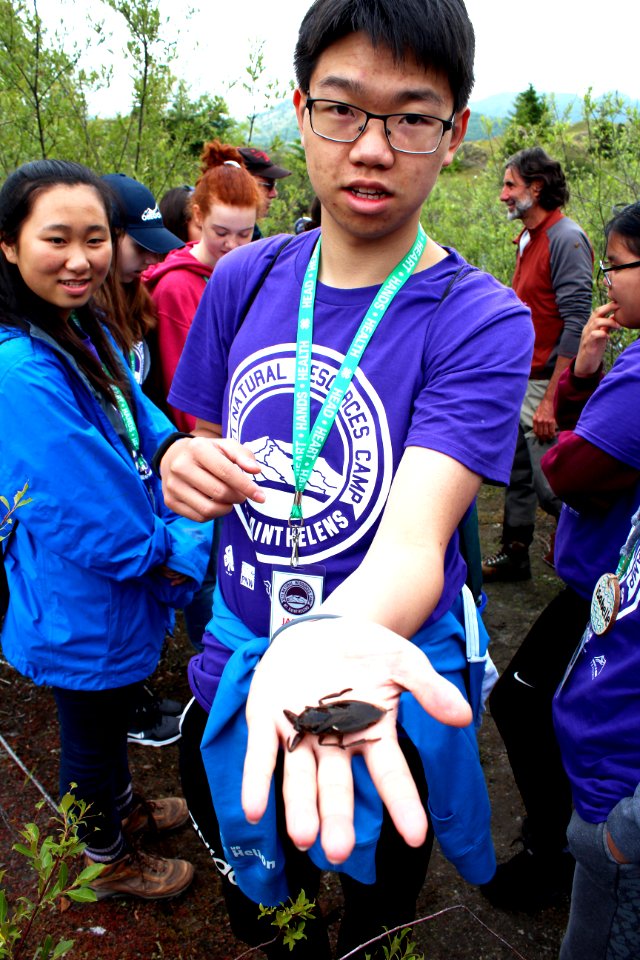 Students of ICYI examining the aquatic creatures found in ponds at Mount St. Helens photo