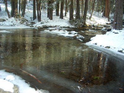 Navidad 2010 024
