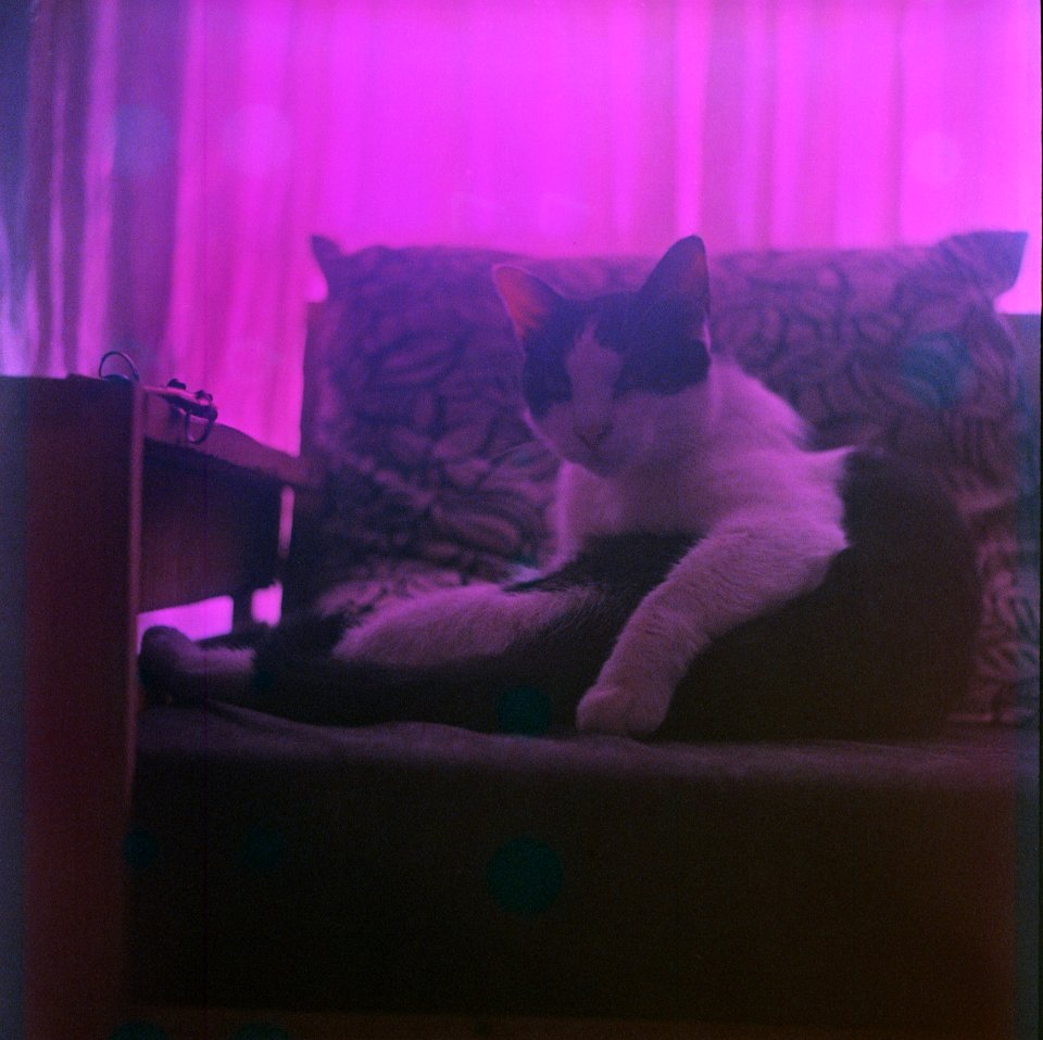 Ariel fujichrome120 007