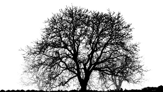 background, wallpaper, hintergrundbild (free)