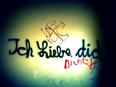 ich lieb dich nicht