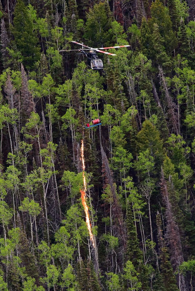 Prescribed burn at Manning Creek