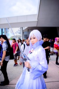 DSC 7816