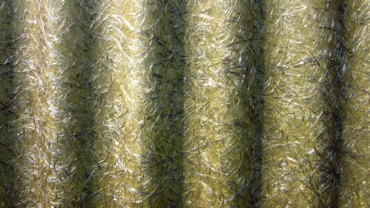 Plastic fibers composite