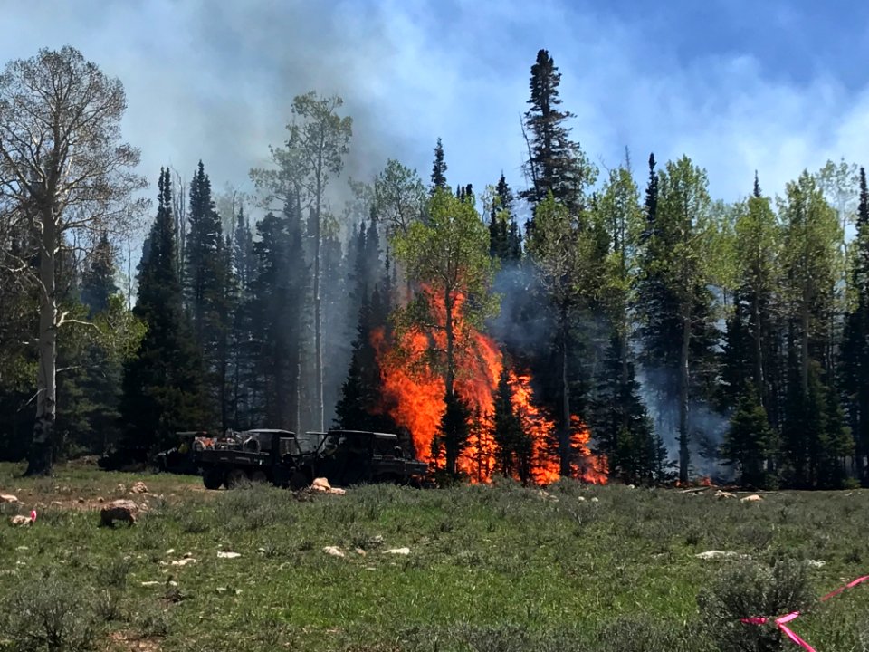 Prescribed burn at Manning Creek