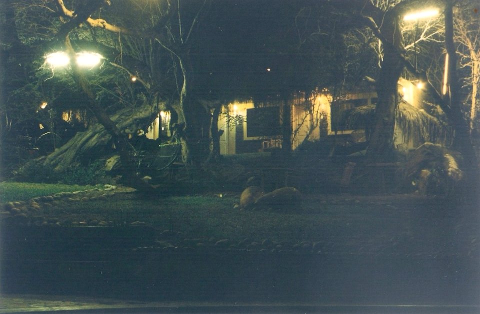 Casa del duende, Hostel Ica