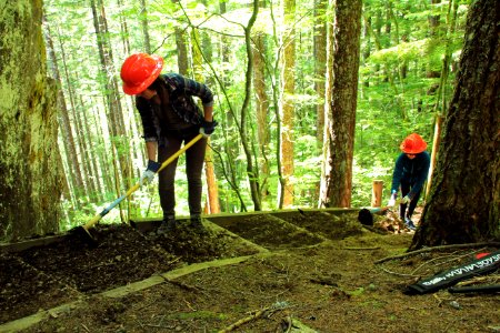 Restoration of trails at French's Dome