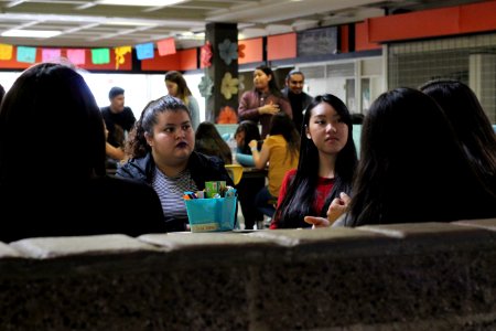 IMG 7804
