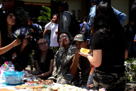 IMG 9849