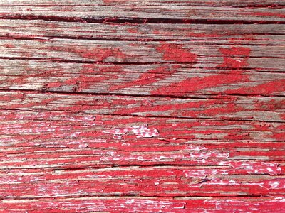 Wood background texture rough photo