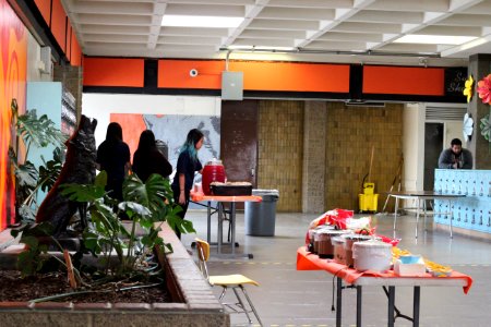 IMG 7381