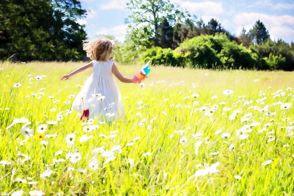 Grass summer sunny