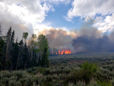 Prescribed burn at Manning Creek