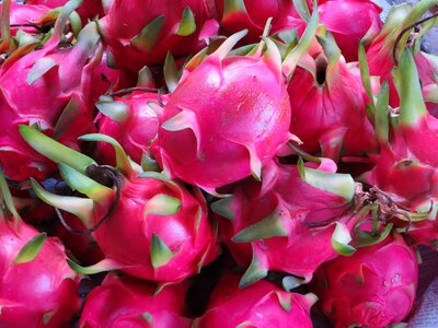The dragon fruit pink exotic photo