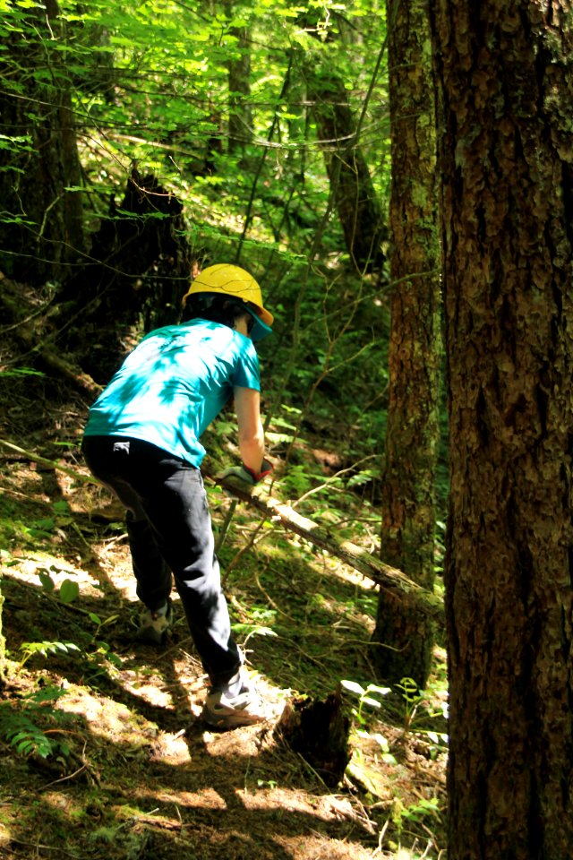 Restoration of trails at French's Dome