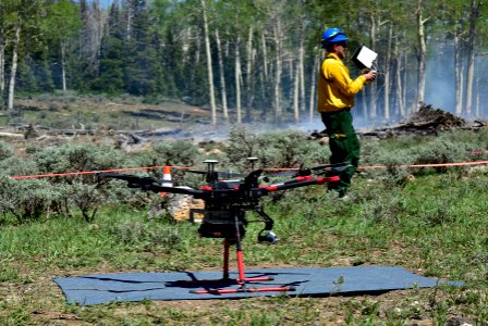 Prescribed burn at Manning Creek