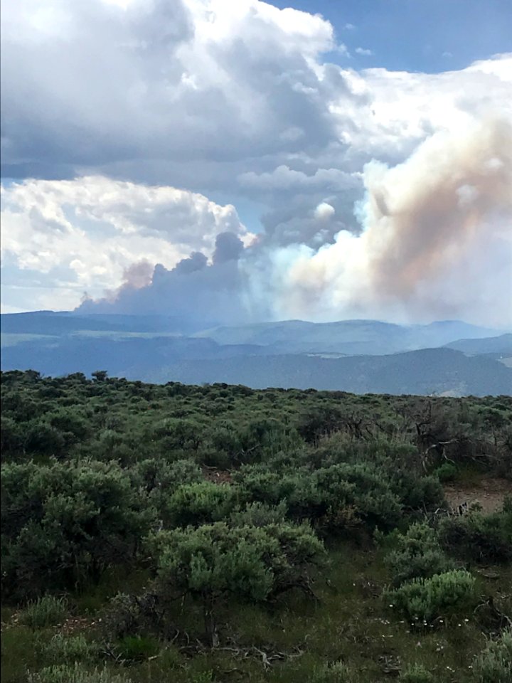 Prescribed burn at Manning Creek