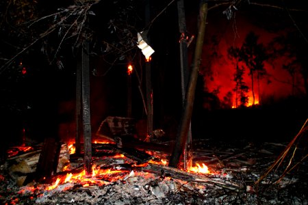 Bario Bush Fire Casualty #2